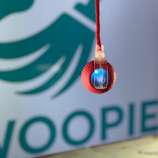 🚀Swoopie MotionBall - Zelfrollende speelbal