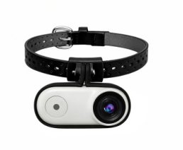 Swoopie PawCam Pro™ – Met Gratis Swoopie MotionBall - Halsbandcamera voor Hond & Kat – HD Mini Camera – Oplaadbaar – Lichtgewicht – Huisdiercamera voor Unieke Beelden