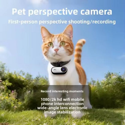 Swoopie PawCam Pro™ – Met Gratis Swoopie MotionBall - Halsbandcamera voor Hond & Kat – HD Mini Camera – Oplaadbaar – Lichtgewicht – Huisdiercamera voor Unieke Beelden