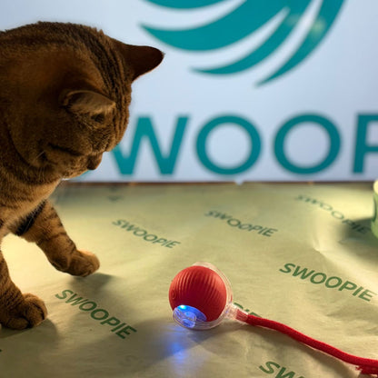 🚀Swoopie MotionBall - Zelfrollende speelbal