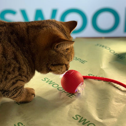 🚀Swoopie MotionBall - Zelfrollende speelbal