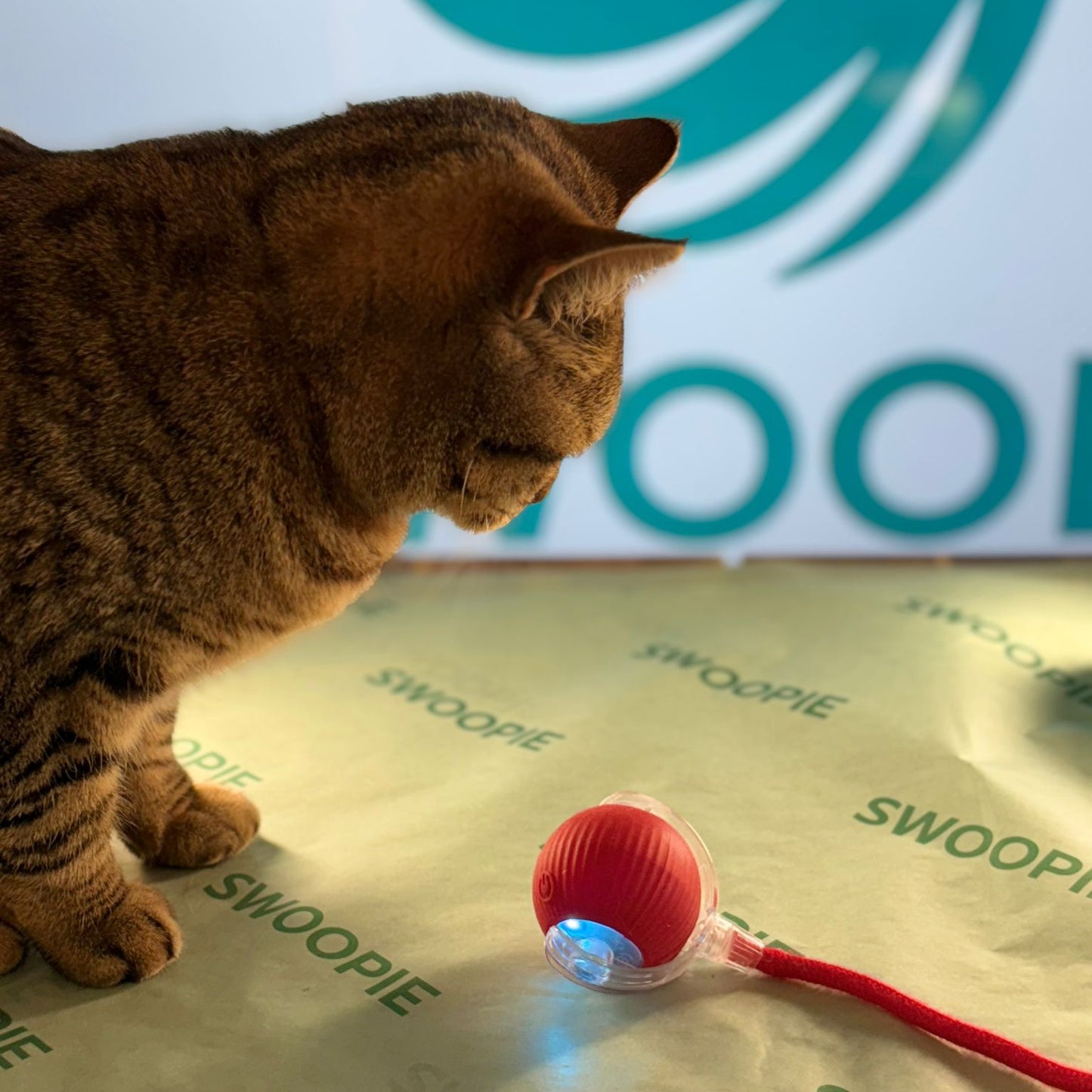 🚀Swoopie MotionBall - Zelfrollende speelbal
