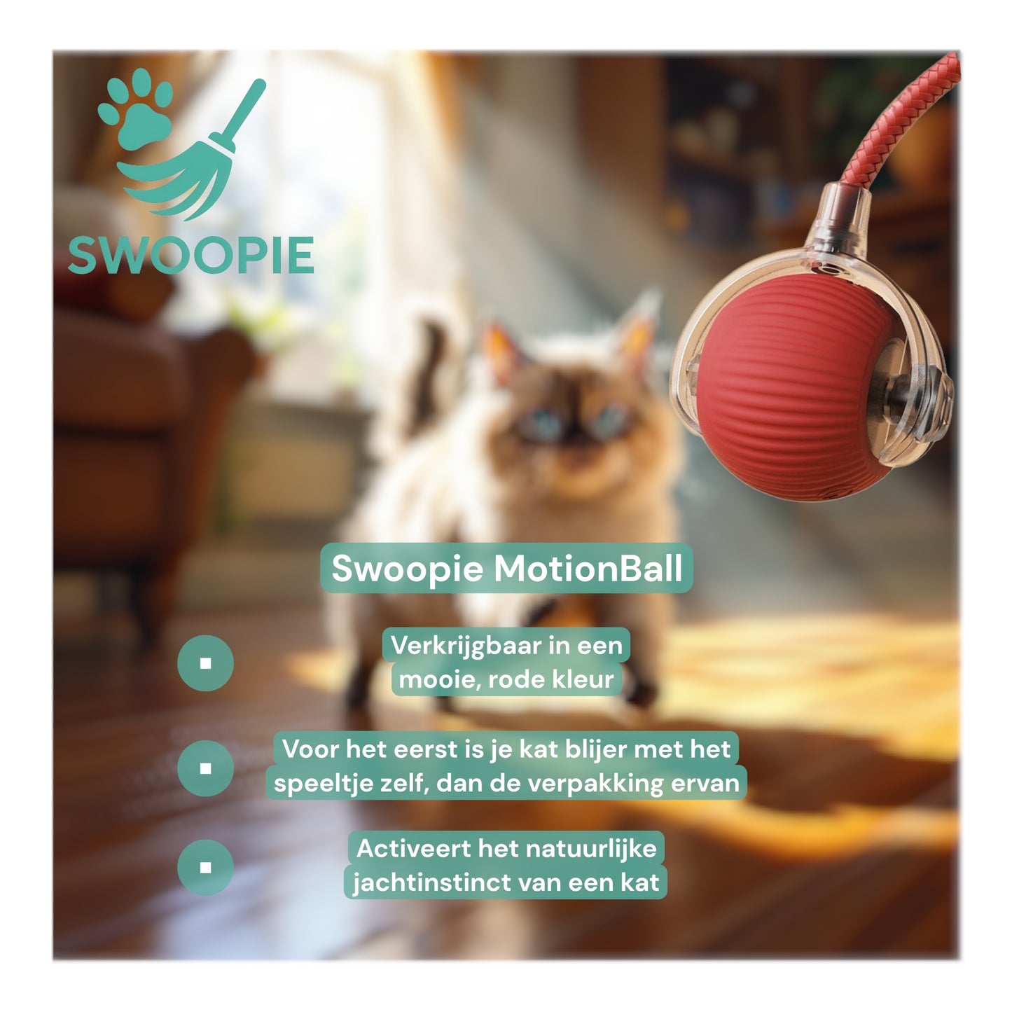 🚀Swoopie MotionBall - Zelfrollende speelbal