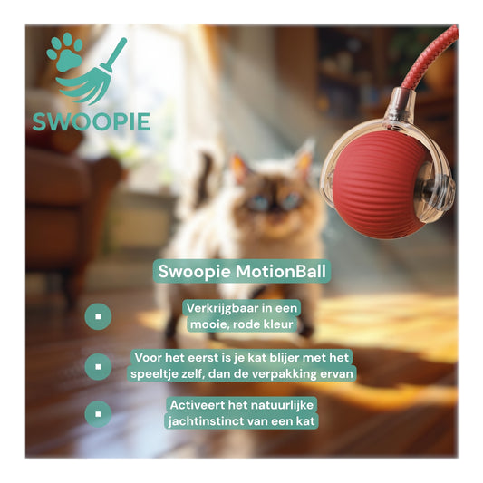 🚀Swoopie MotionBall - Zelfrollende speelbal