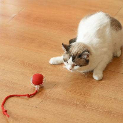 🚀Swoopie MotionBall - Zelfrollende speelbal