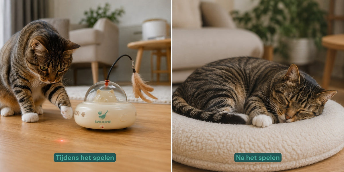 Swoopie UfoLaser Toy™ – Automatisch Kattenspeeltje met Laser | Interactief & Oplaadbaar | Slim Laserspeelgoed voor Katten