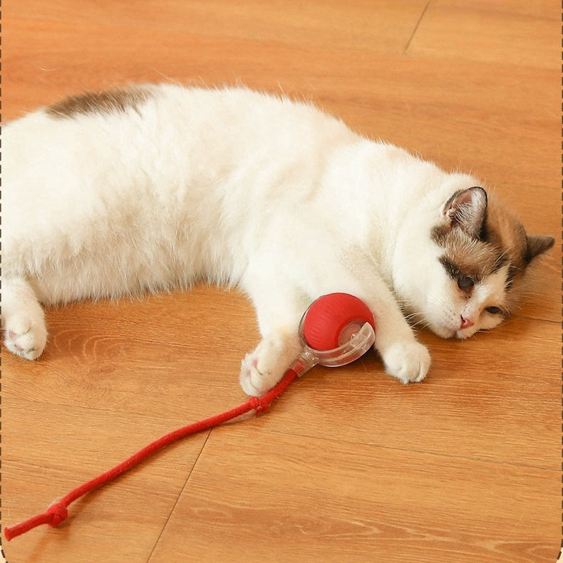 🚀Swoopie MotionBall - Zelfrollende speelbal